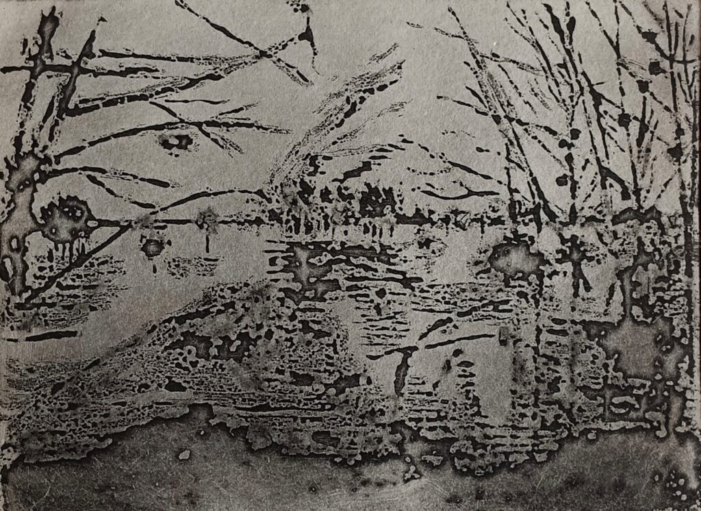 Batrice Torres : La Charente inondée
