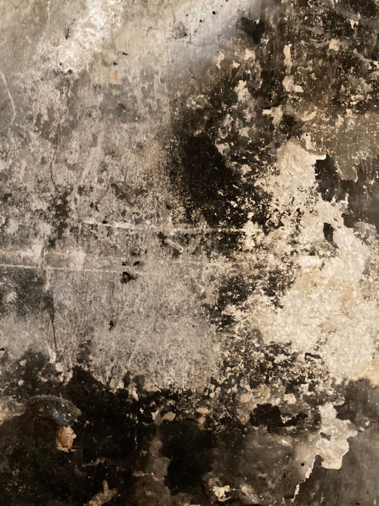 Martine Roturier : Bistre 1