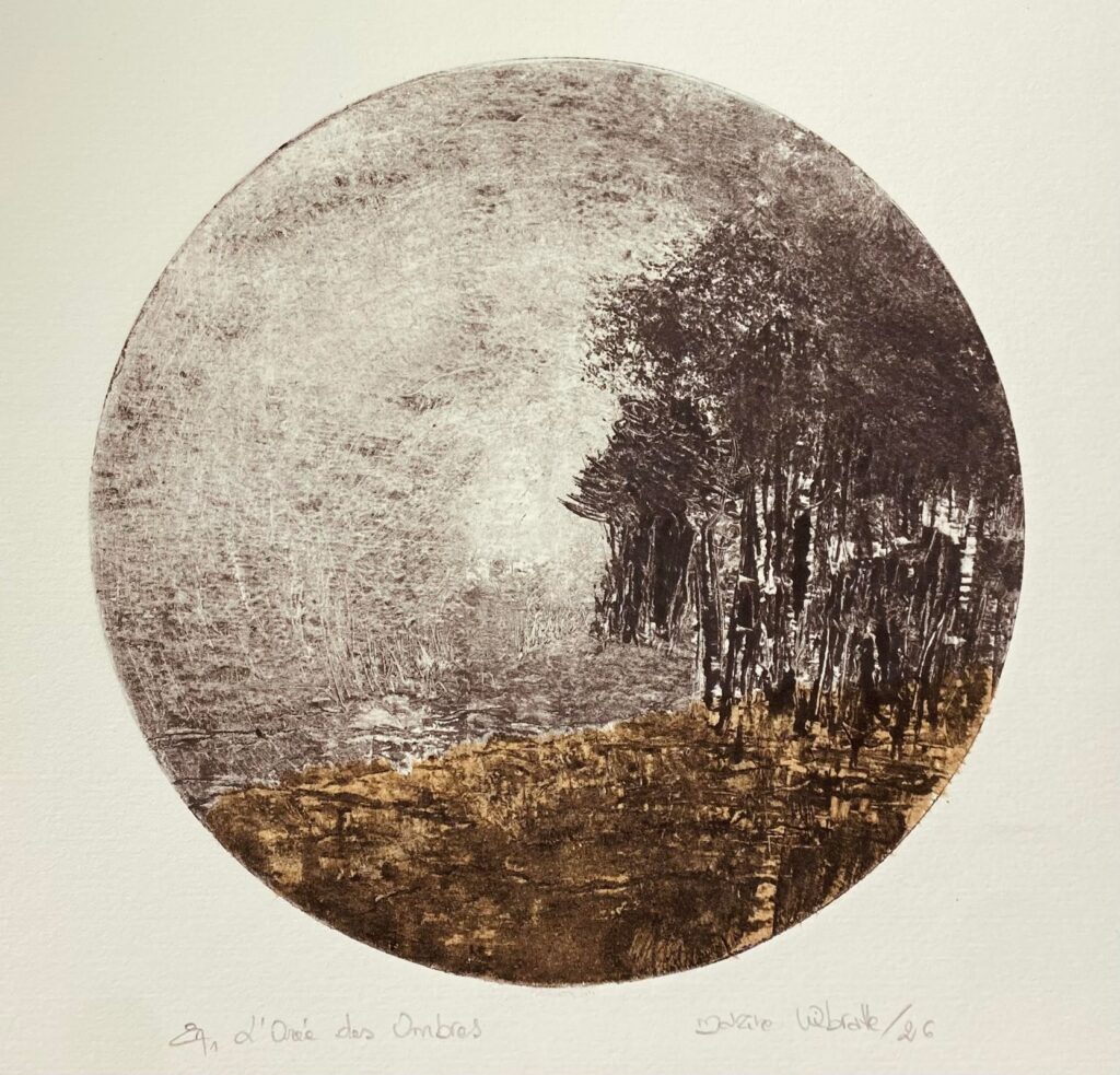 Marine Wibratte : L'Orée des Ombres