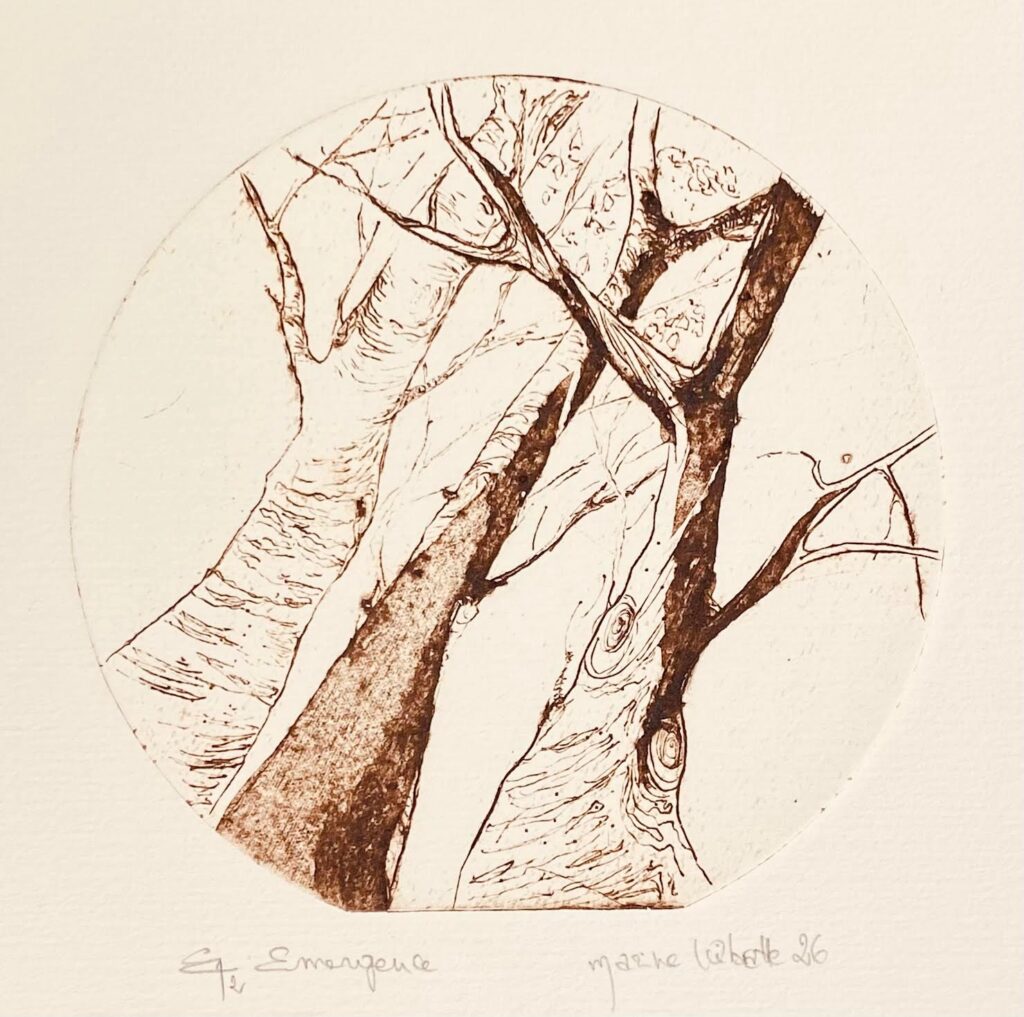 Marine Wibratte Emergence
