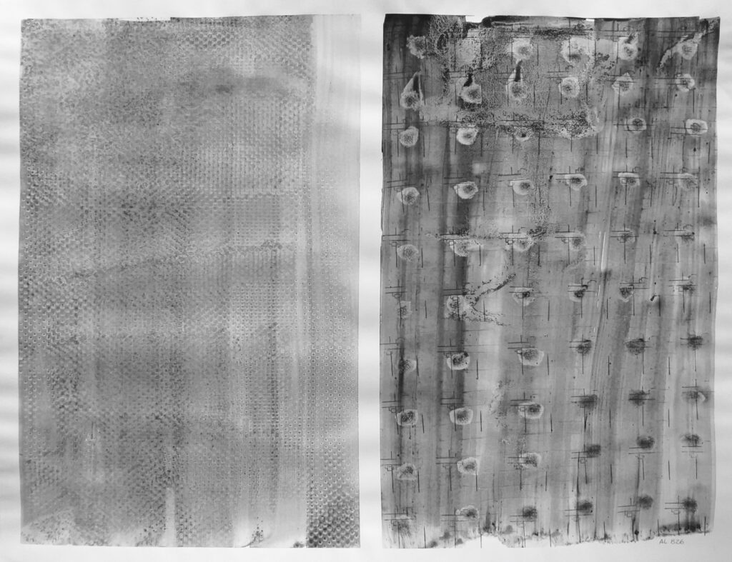 Alexandra Béghin : Traces et Points