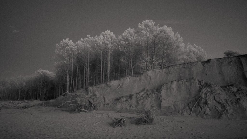 Julien Laurent : Once They Where