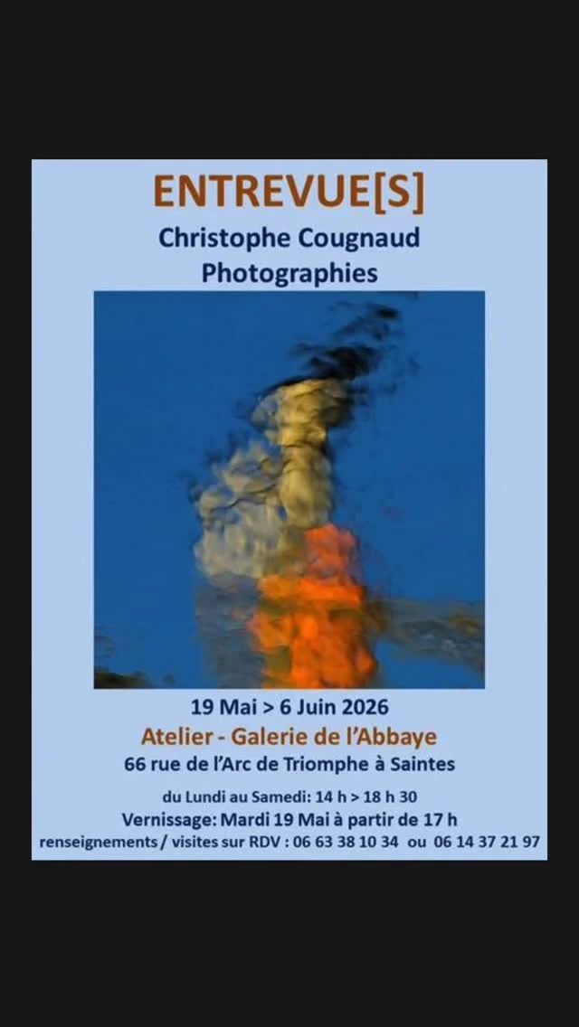 Si vous êtes à Saintes , réfugiez-vous à l'ombre et profitez de l'exposition de Christophe Cougnaud 

@christophe.cougnaud 
#saintestourisme #charentemaritime #charentestourisme #nouvelleaquitaine_focus_on #frenchartist