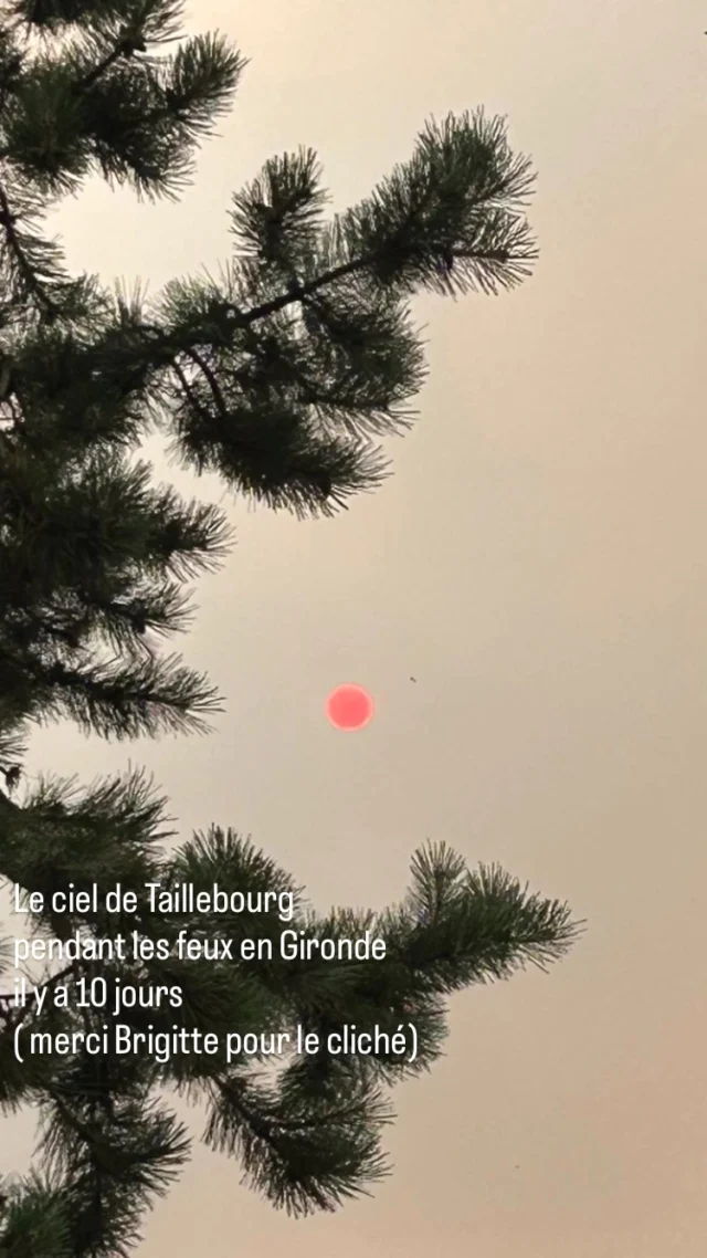 Publication 17955477018193918 Instagram